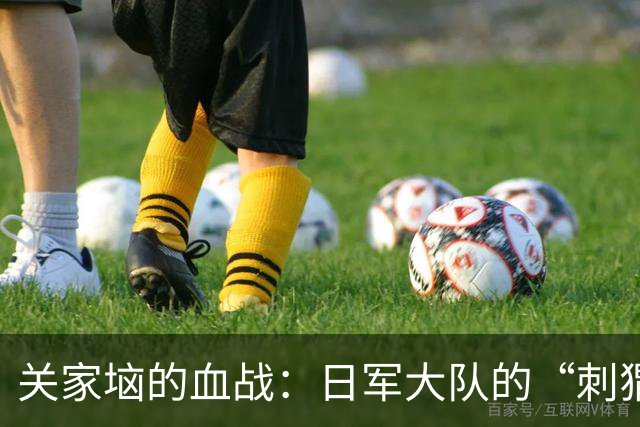 关家垴的血战：日军大队的“刺猬战术